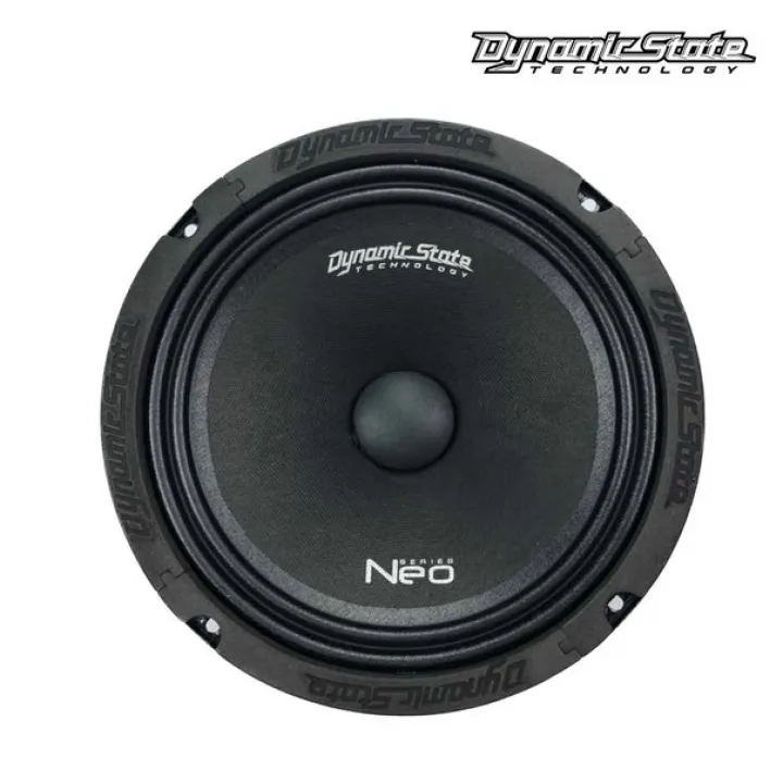 Dynamic State NM-20.2 Neo эстрадная акустика в Энгельсе