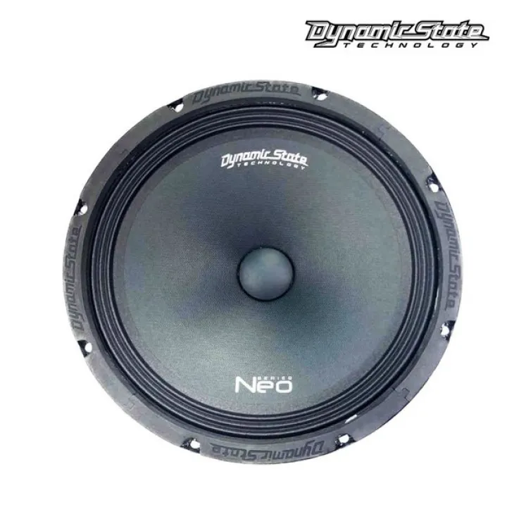 Dynamic State NM-25.1 Neo эстрадная акустика в Энгельсе