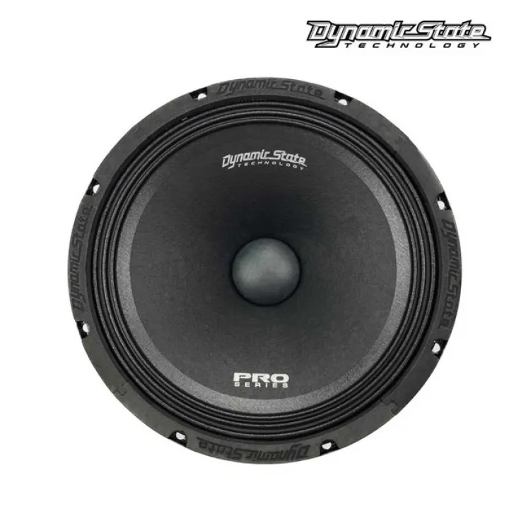 Dynamic State PM-250.1 Pro Series эстрадная акустика в Энгельсе