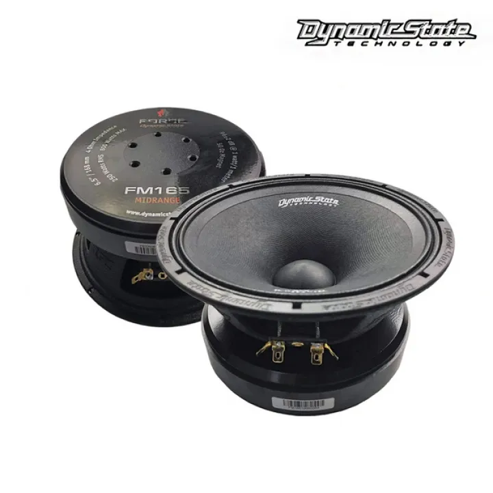 Dynamic State FM165 FORCE эстрадная акустика в Энгельсе