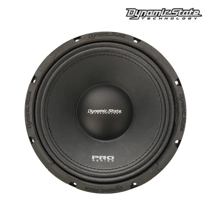 Dynamic State PMW-250 эстрадная акустика в Энгельсе