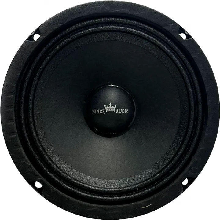 Kingz Audio WP-65 эстрадная акустика в Энгельсе