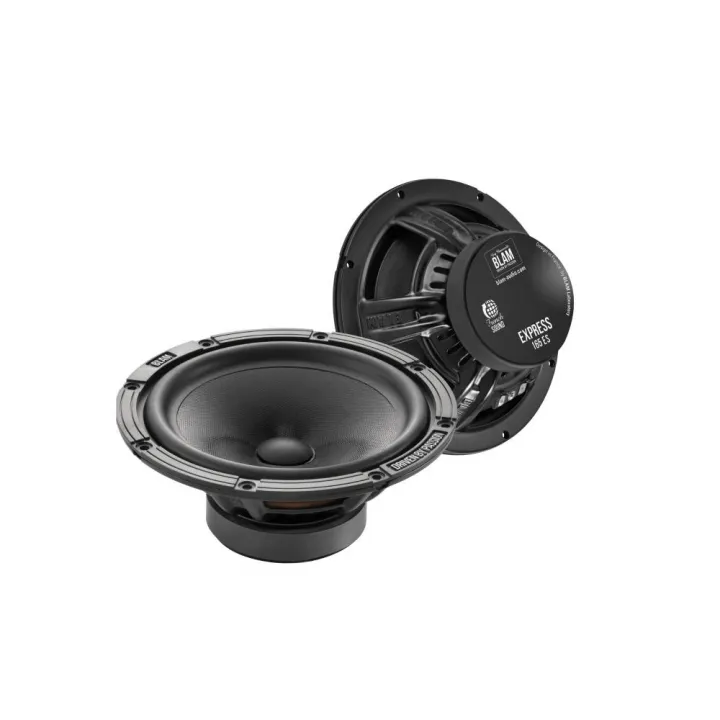 BLAM W165ES Мидбасы 16,5 см в Энгельсе