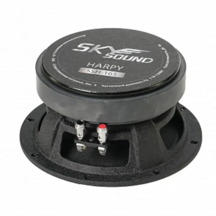 SKYSOUND HARPY SSH-165 эстрадная акустика в Энгельсе