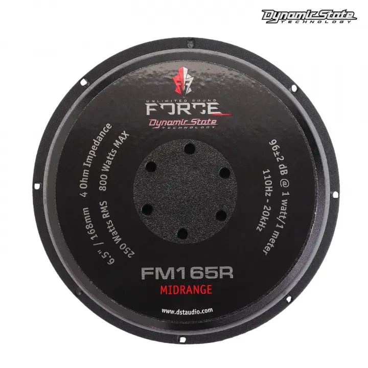 Dynamic State FM165R FORCE эстрадная акустика в Энгельсе